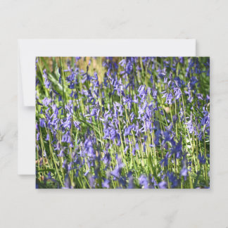 Cartão Postal Bluebells