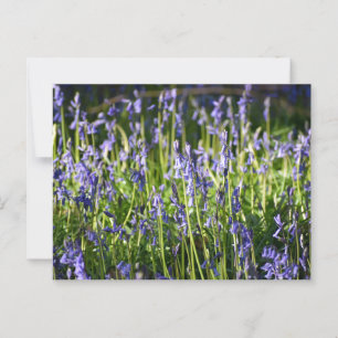 Cartão Postal Bluebells
