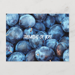 CARTÃO POSTAL BLUEBERRIES