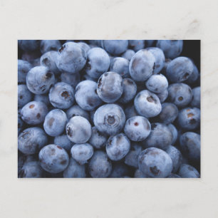 CARTÃO POSTAL BLUEBERRIES FOTOGRAFIA FRUTAS SAUDÁVEIS