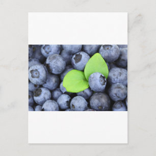 CARTÃO POSTAL BLUEBERRY
