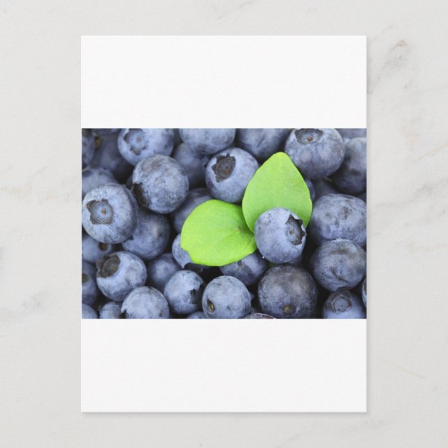 CARTÃO POSTAL BLUEBERRY (Frente)