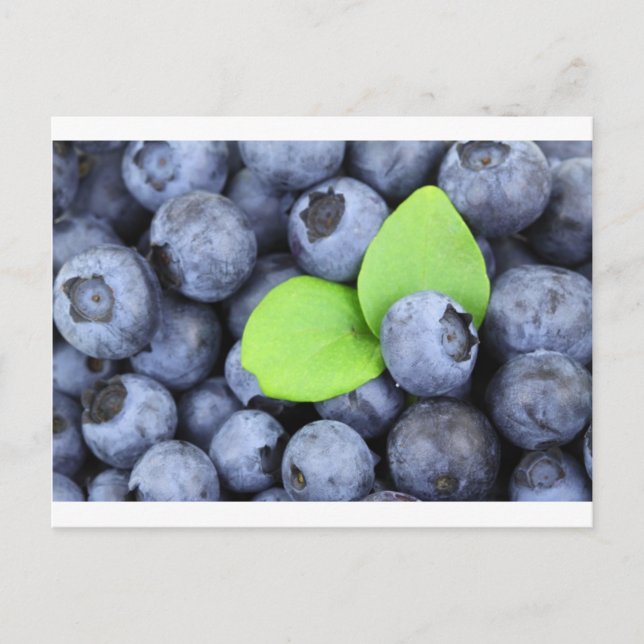 CARTÃO POSTAL BLUEBERRY (Frente)