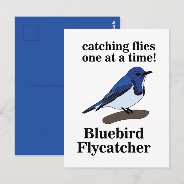 Cartão Postal Bluebird Bird Engraçado (Frente/Verso)