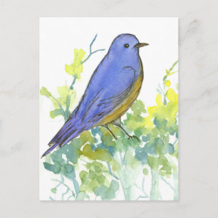 Cartão Postal Bluebird em Sagebrush Watercolor
