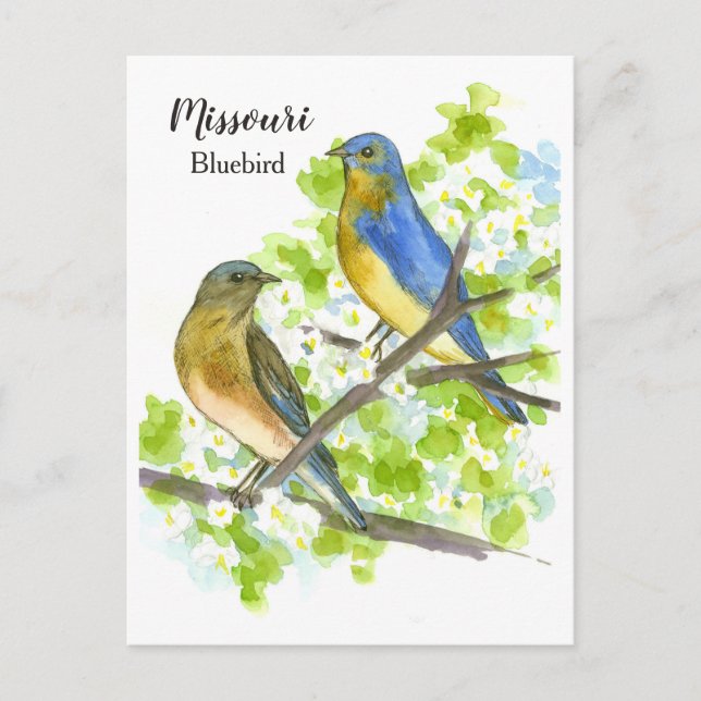 Cartão Postal Bluebird Hawthorn Tree Missouri State Bird (Frente)