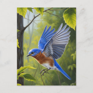 Cartão Postal Bluebird oriental