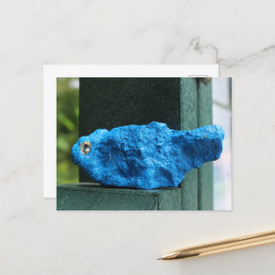 Cartão Postal Bluebird Rock