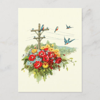 Cartão Postal Bluebirds na linha eléctrica