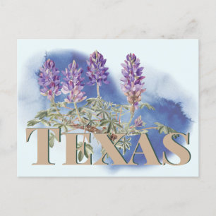 Cartão Postal Bluebonnet 2 do Texas Botânico