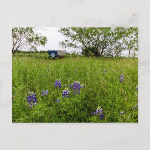 Cartão Postal Bluebonnet Park, Ennis, Texas
