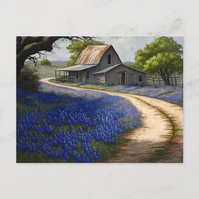 Cartão Postal Bluebonnets e Old Barn no Texas (Frente)