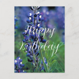 Cartão Postal Bluebonnets Flor do Estado do Texas Aniversário Az