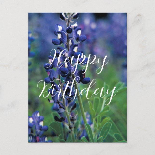 Cartão Postal Bluebonnets Texas State Flower Blue Birday (Frente)