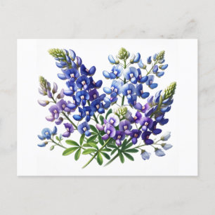 Cartão Postal Bluebonnets Texas State Flowers Lupine Watercolor