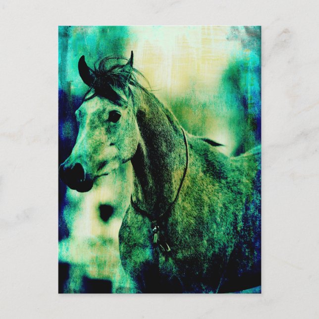 Cartão Postal Blues árabe (Frente)