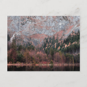 Cartão Postal Blues cor-de-rosa