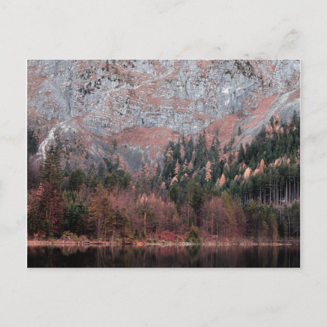 Cartão Postal Blues cor-de-rosa (Frente)