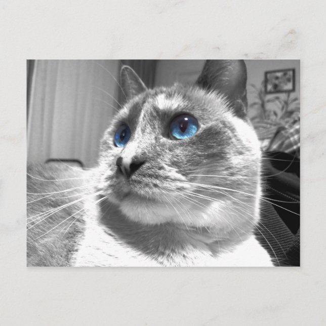 Cartão Postal Blues mesmerizante da bolha (Frente)