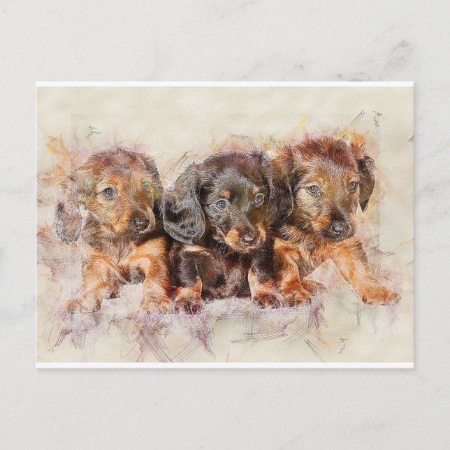 Cartão Postal Boa Amizade (Frente)