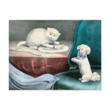 Boa Fido e gatinho malvado, 1893