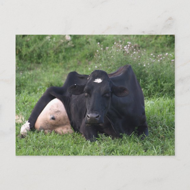 Cartão Postal Boa Manhã WI (Frente)