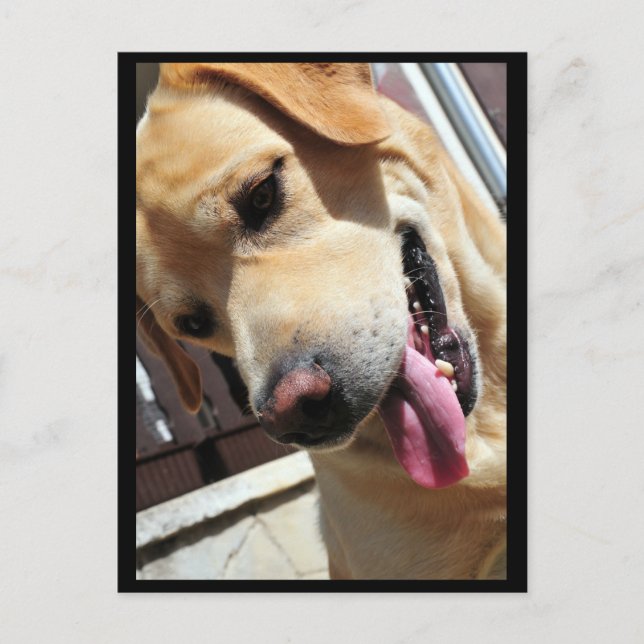 Cartão Postal Boa piada, cara! (Frente)