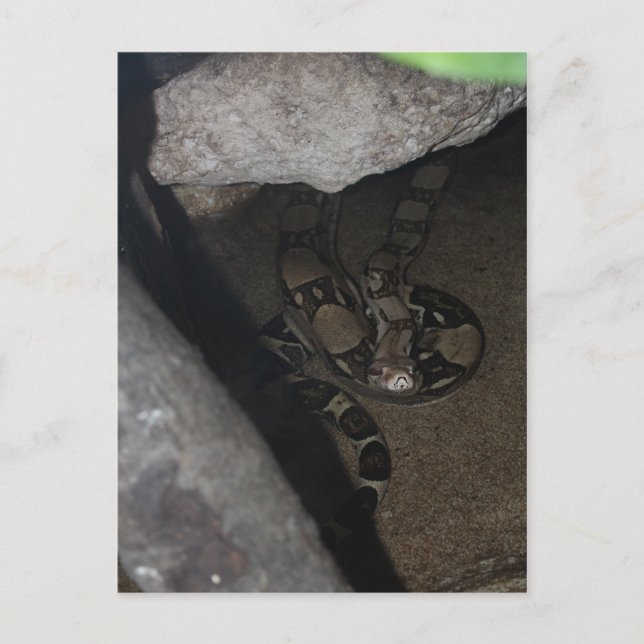 Cartão Postal Boa Restrição # 1 (Frente)