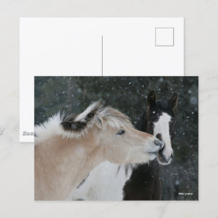 Cartão Postal Bob Langrish   Captura De Cabeça De Dois Pontes R