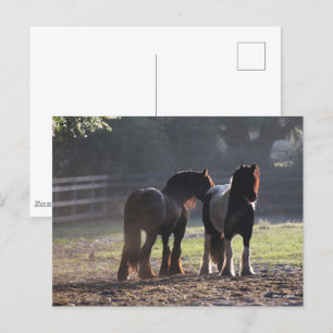 Cartão Postal Bob Langrish   Dois Vanners De Cigarro Com Ilumina