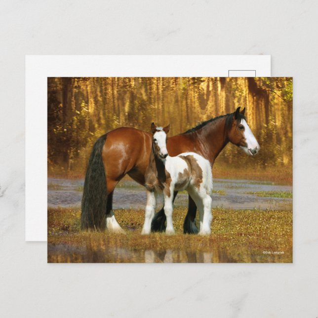 Cartão Postal Bob Langrish | Gypsy Vanner Mare and Foal Fantasy (Frente/Verso)