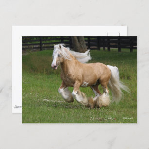 Cartão Postal Bob Langrish Palomino Gypsy Vanner Horse Running