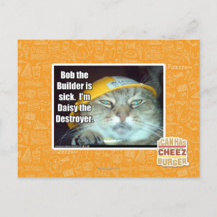 Cartão Postal Bob, o Construtor está doente
