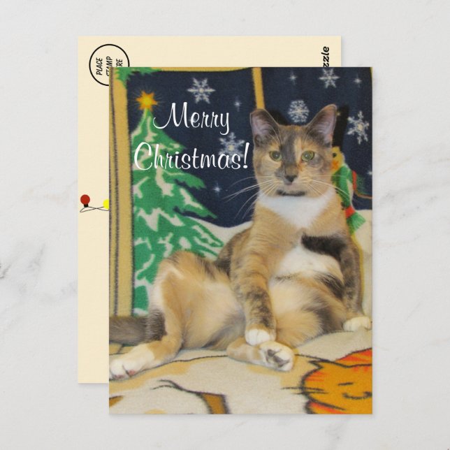 Cartão Postal Bobo Callie Muffin Natal (Frente/Verso)