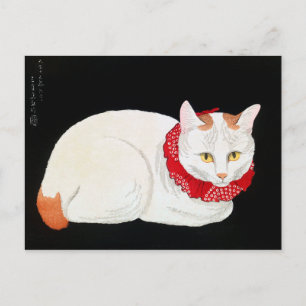 Cartão Postal Bobtail Cat japonês, Shotei