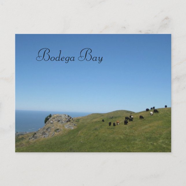 Cartão Postal Bodega Bay, Ca, (Frente)