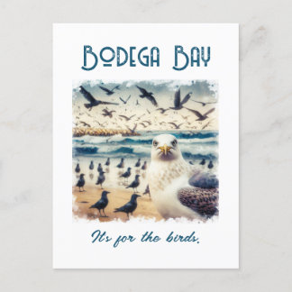 Cartão Postal Bodega Bay California Souvenir Gift