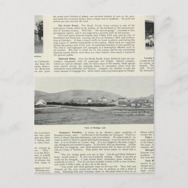 Cartão Postal Bodega, Califórnia (Frente)