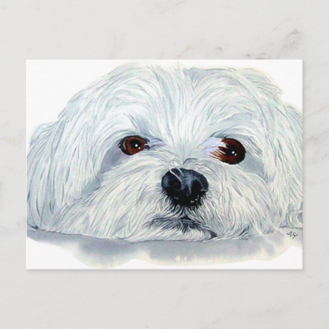 Cartão Postal Bogart, o Cartão-Postal Maltês (Frente)