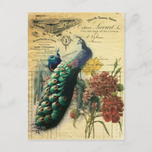Cartão Postal boho floral país francês moderno pavão de colheita