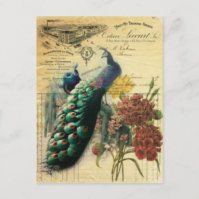 Cartão Postal boho floral país francês moderno pavão de colheita (Frente)