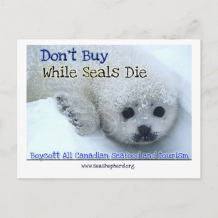 Cartão Postal Boicote Canadá