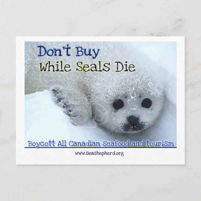 Cartão Postal Boicote Canadá (Frente)