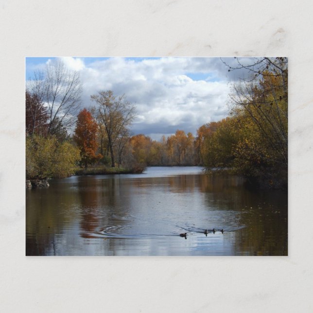 Cartão postal Boise Fall (Frente)