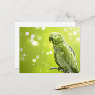 Cartão Postal Bokeh Bonito Papagaio Africano