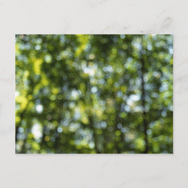 Cartão Postal Bokeh em Primavera (Frente)