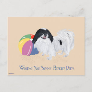 Cartão Postal Bola de Praia Japanese Chin