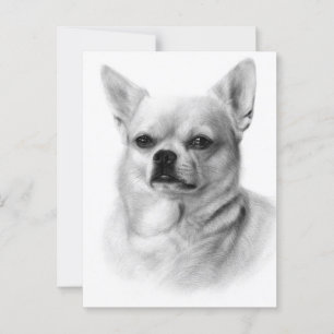 Cartão Postal Bold Gaze - Chihuahua Pintado Exclusivamente Pela