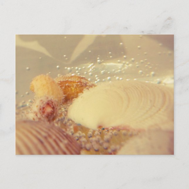 Cartão Postal bolhas (Frente)