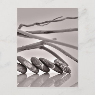 Cartão Postal Bolhas e madeiras derivantes